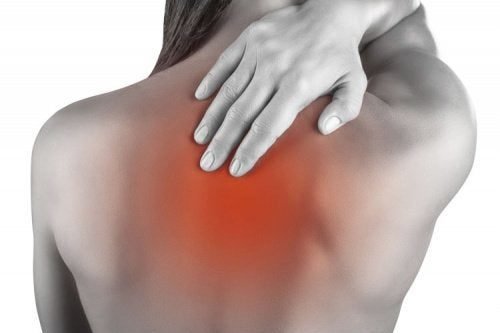 cropped-Bovenrug-blessure.jpg